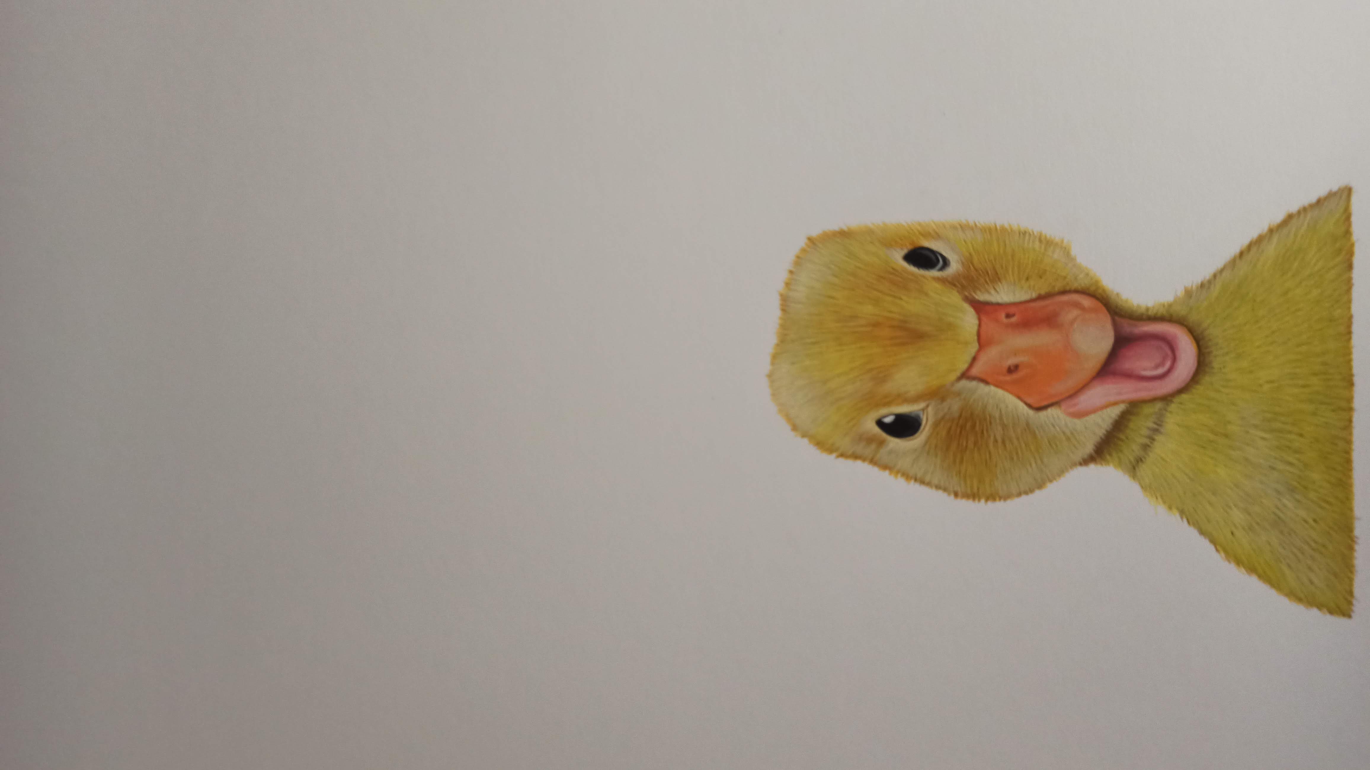 Pintura hiperrealista de pato en acrilico - duck portrait painting
