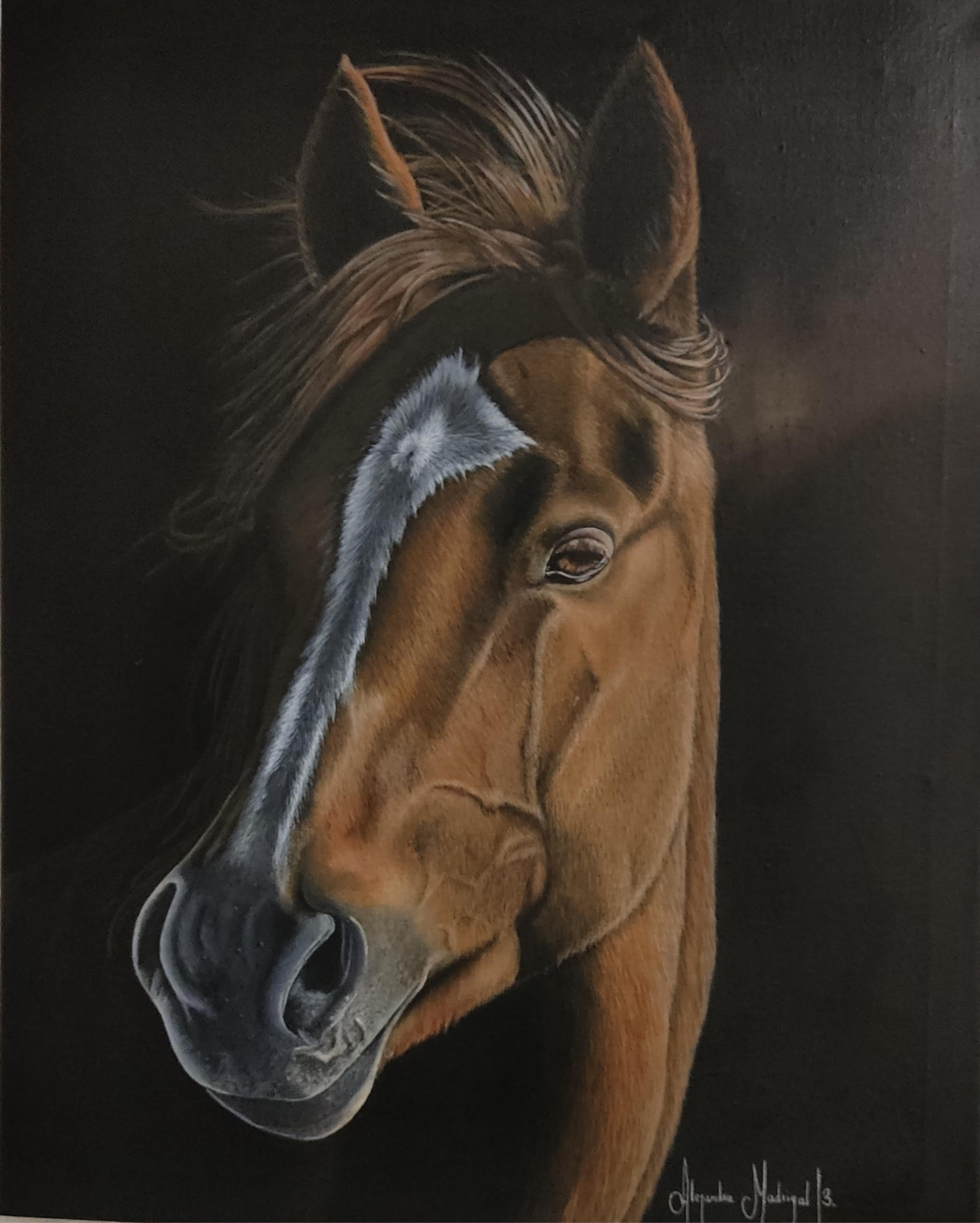 Retrato hiperrealista de caballo en acrilico - horse portrait art